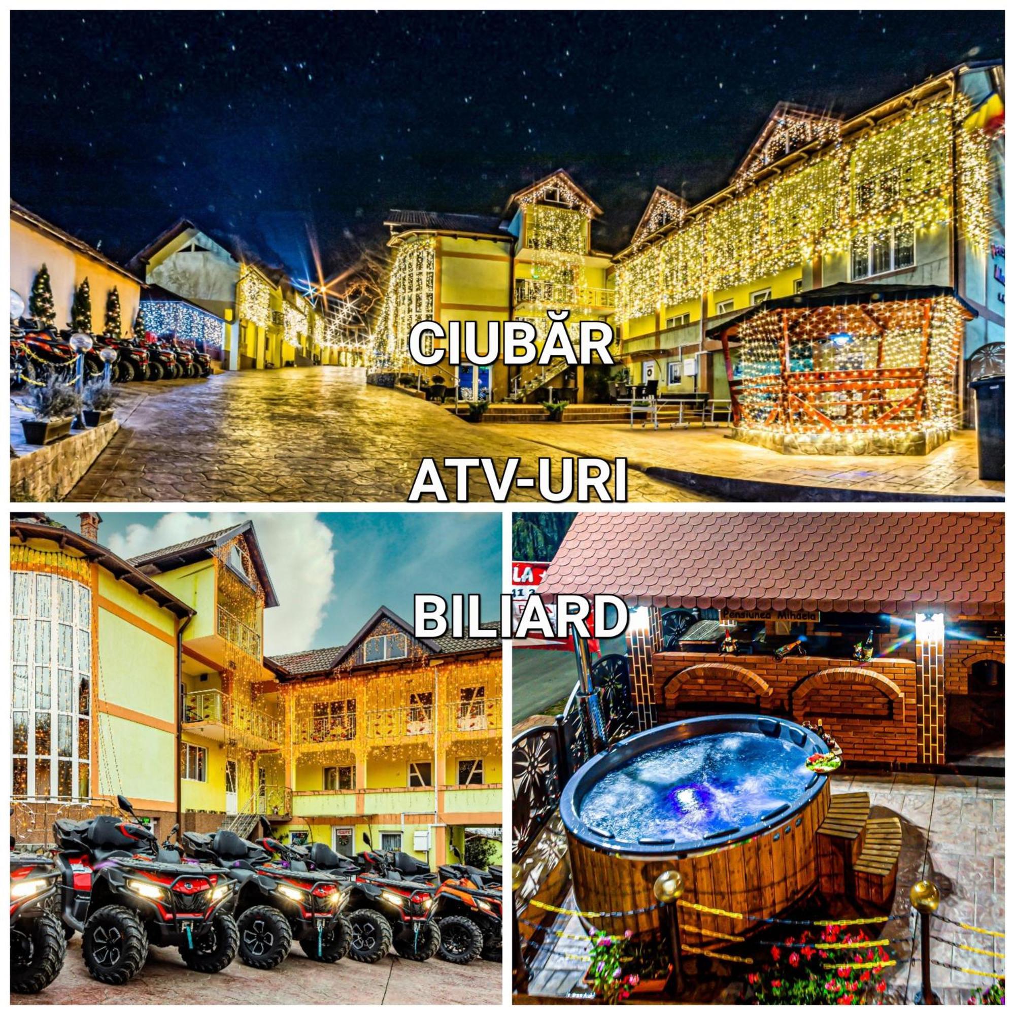 Pensiunea Mihaela-Transalpina Novaci-Străini Kültér fotó