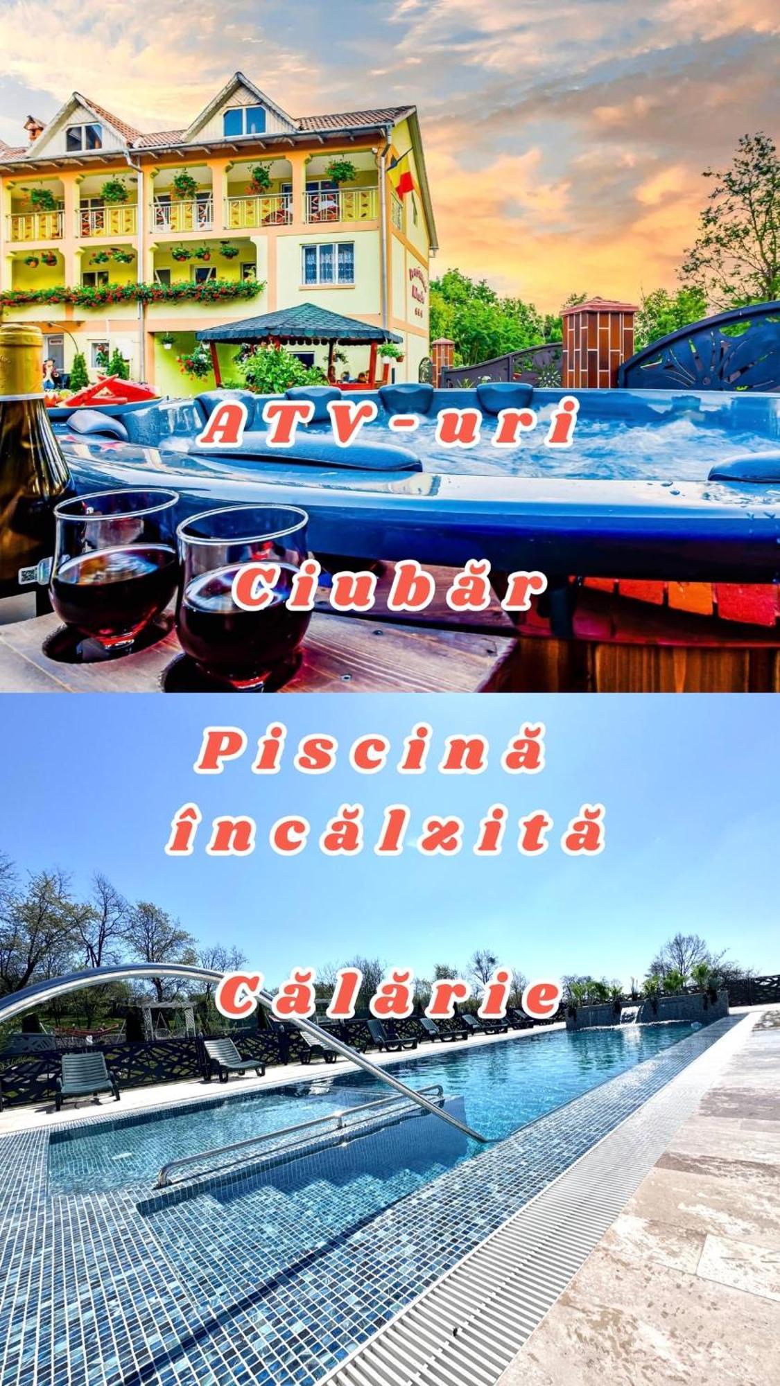 Pensiunea Mihaela-Transalpina Novaci-Străini Kültér fotó